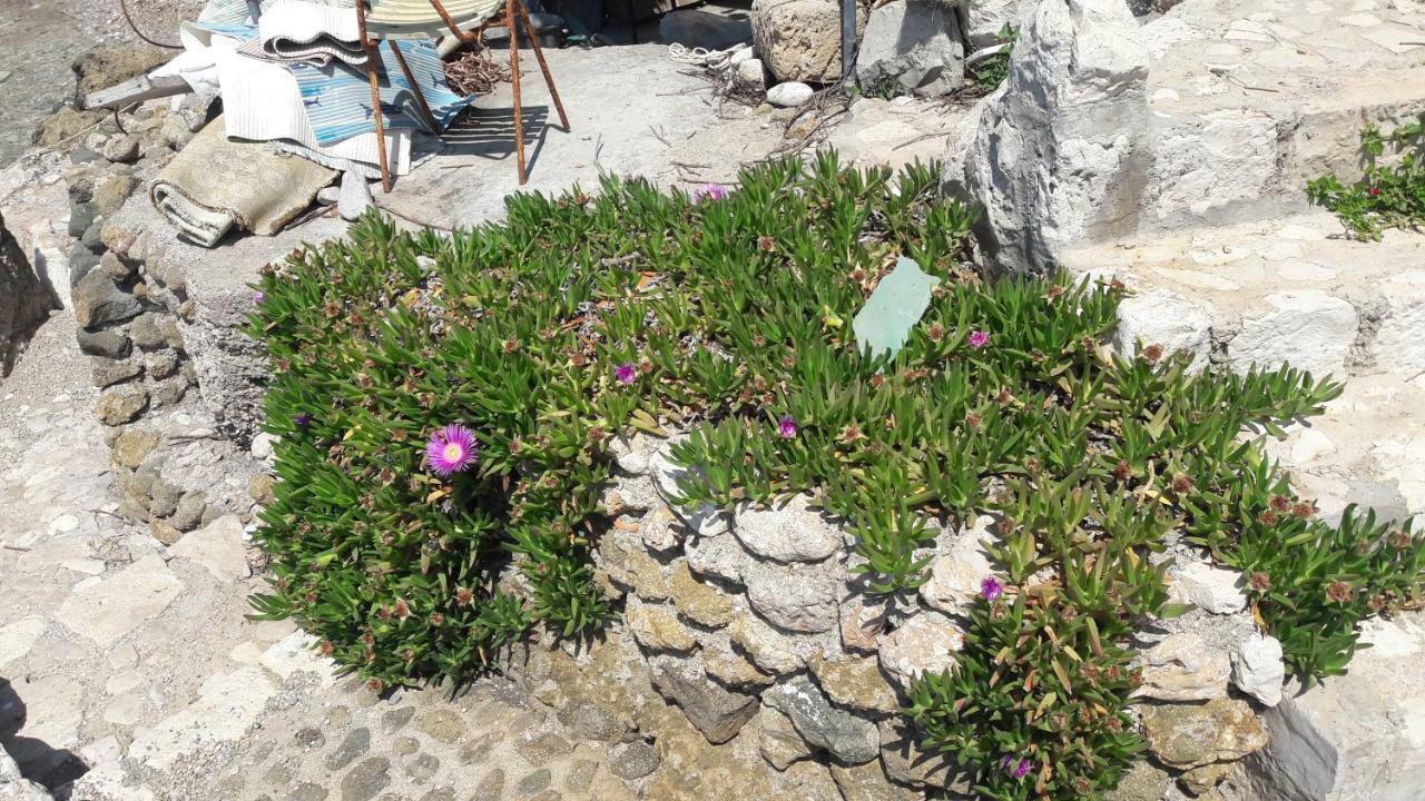 Anka'S Beach Komiža Εξωτερικό φωτογραφία